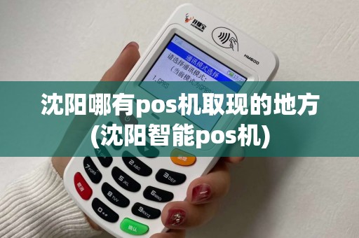 沈阳哪有pos机取现的地方(沈阳智能pos机)