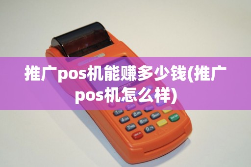 推广pos机能赚多少钱(推广pos机怎么样)