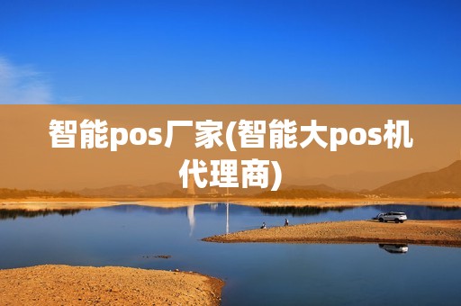 智能pos厂家(智能大pos机代理商)