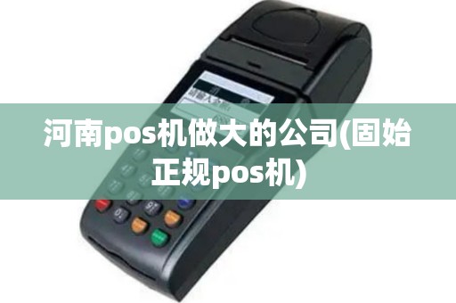 河南pos机做大的公司(固始正规pos机)