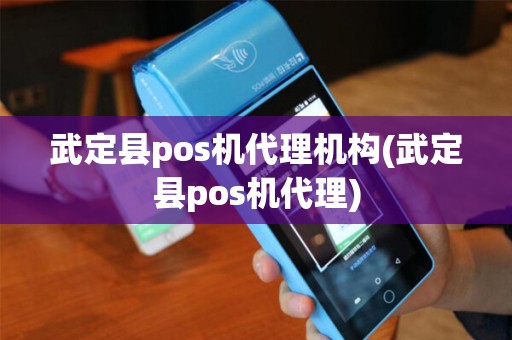 武定县pos机代理机构(武定县pos机代理)