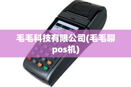 毛毛科技有限公司(毛毛聊pos机)