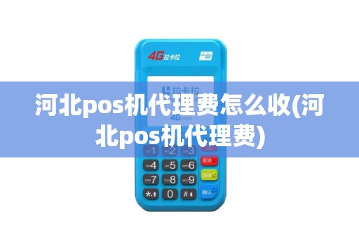 河北pos机代理费怎么收(河北pos机代理费)