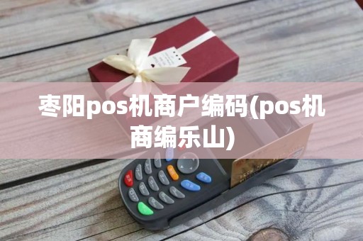 枣阳pos机商户编码(pos机商编乐山)