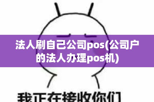 法人刷自己公司pos(公司户的法人办理pos机)