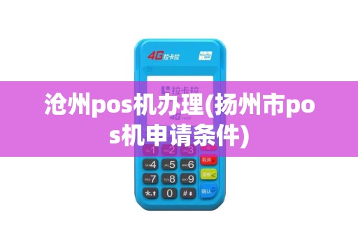 沧州pos机办理(扬州市pos机申请条件)