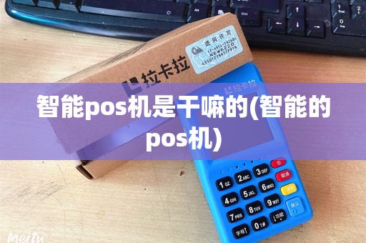 智能pos机是干嘛的(智能的pos机)
