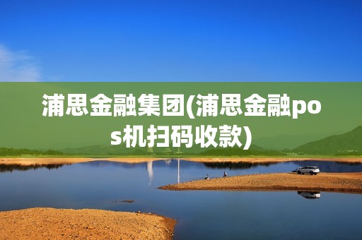 浦思金融集团(浦思金融pos机扫码收款)