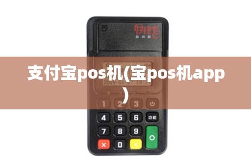 支付宝pos机(宝pos机app)