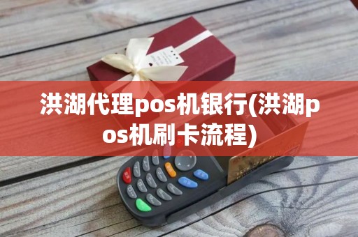 洪湖代理pos机银行(洪湖pos机刷卡流程)