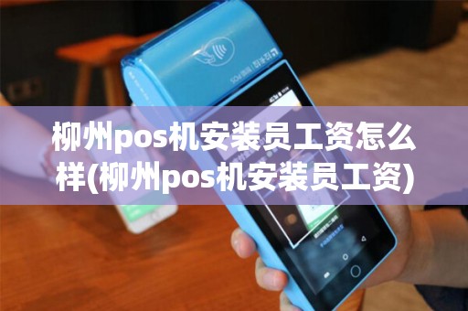 柳州pos机安装员工资怎么样(柳州pos机安装员工资)