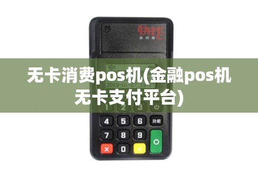 无卡消费pos机(金融pos机无卡支付平台)