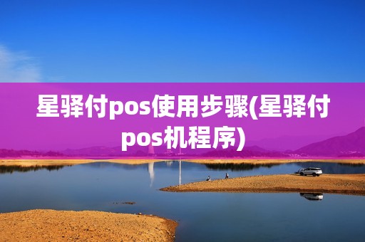 星驿付pos使用步骤(星驿付pos机程序)