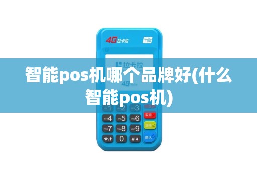 智能pos机哪个品牌好(什么智能pos机)