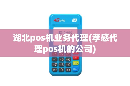 湖北pos机业务代理(孝感代理pos机的公司)