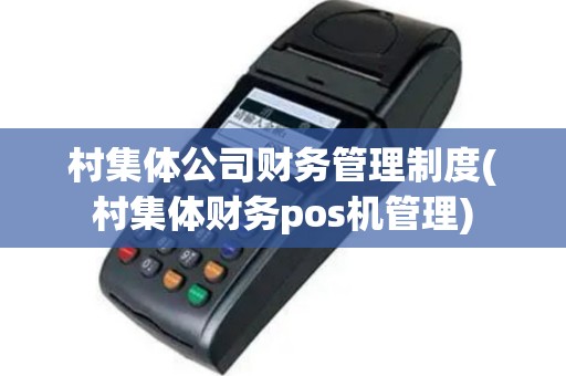 村集体公司财务管理制度(村集体财务pos机管理)
