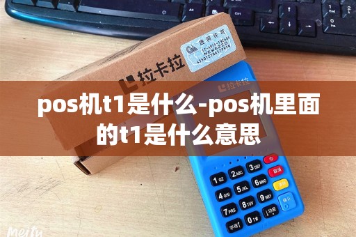 pos机t1是什么-pos机里面的t1是什么意思