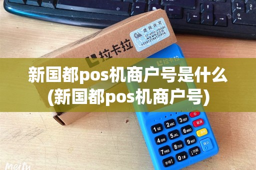 新国都pos机商户号是什么(新国都pos机商户号)