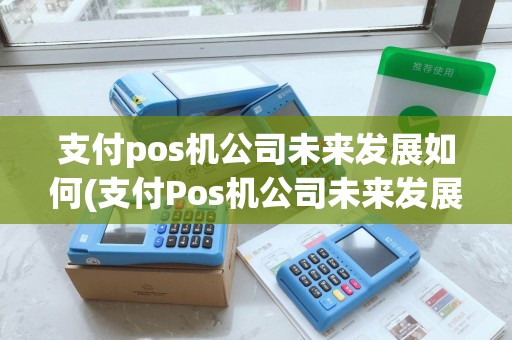 支付pos机公司未来发展如何(支付Pos机公司未来发展)