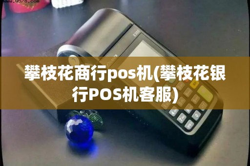 攀枝花商行pos机(攀枝花银行POS机客服)