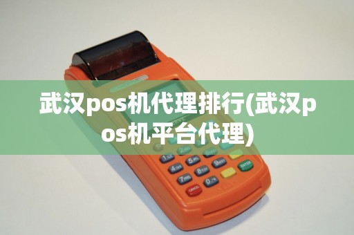 武汉pos机代理排行(武汉pos机平台代理)