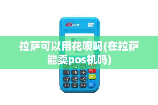 拉萨可以用花呗吗(在拉萨能卖pos机吗)