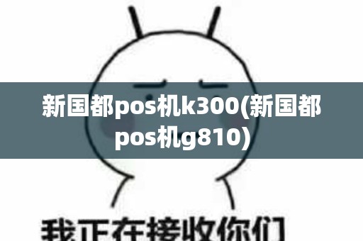 新国都pos机k300(新国都pos机g810)