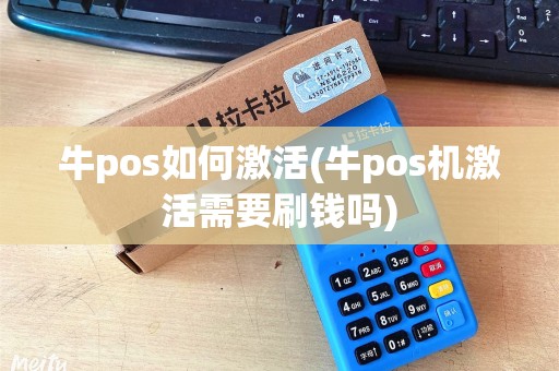 牛pos如何激活(牛pos机激活需要刷钱吗)