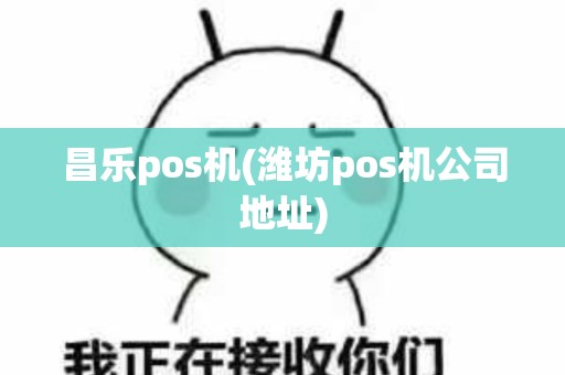 昌乐pos机(潍坊pos机公司地址)