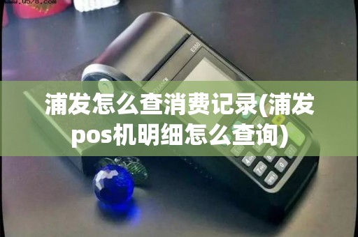浦发怎么查消费记录(浦发pos机明细怎么查询)