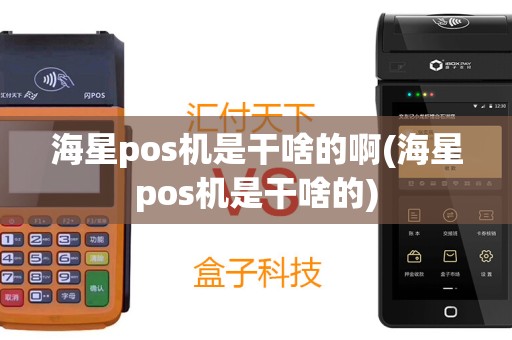 海星pos机是干啥的啊(海星pos机是干啥的)