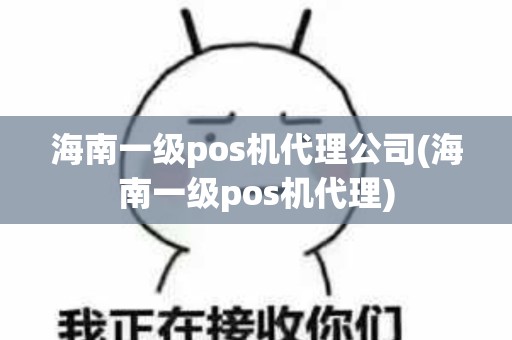海南一级pos机代理公司(海南一级pos机代理)