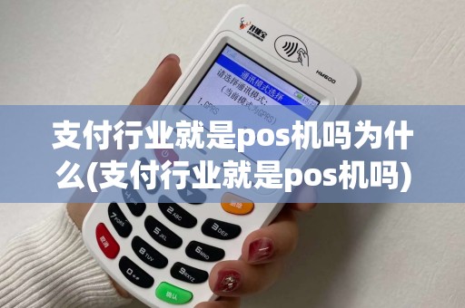支付行业就是pos机吗为什么(支付行业就是pos机吗)