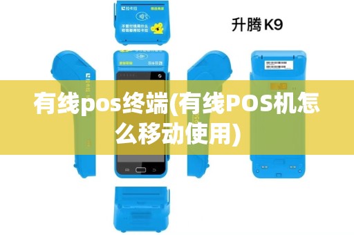 有线pos终端(有线POS机怎么移动使用)
