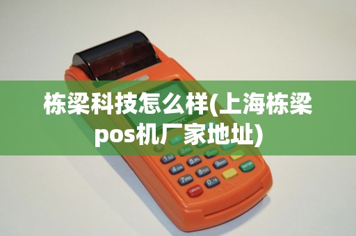 栋梁科技怎么样(上海栋梁pos机厂家地址)
