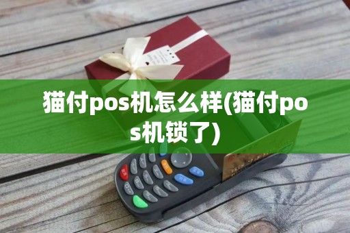 猫付pos机怎么样(猫付pos机锁了)
