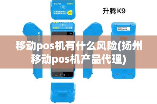 移动pos机有什么风险(扬州移动pos机产品代理)