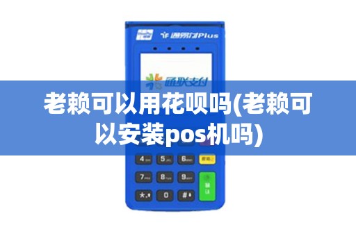老赖可以用花呗吗(老赖可以安装pos机吗)