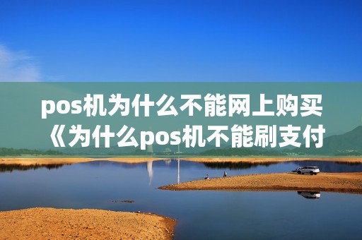pos机为什么不能网上购买《为什么pos机不能刷支付宝》