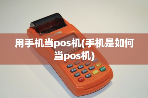 用手机当pos机(手机是如何当pos机)