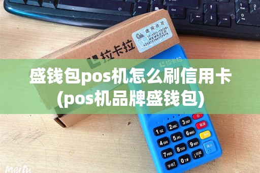 盛钱包pos机怎么刷信用卡(pos机品牌盛钱包)