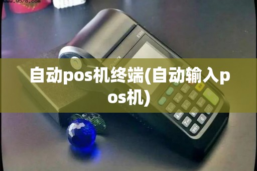 自动pos机终端(自动输入pos机)