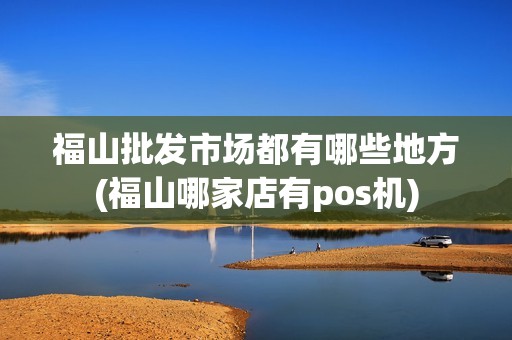 福山批发市场都有哪些地方(福山哪家店有pos机)
