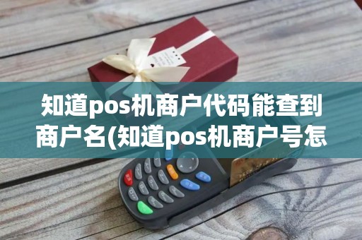 知道pos机商户代码能查到商户名(知道pos机商户号怎样查)