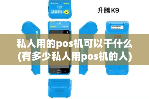 私人用的pos机可以干什么(有多少私人用pos机的人)