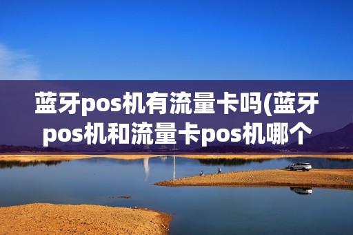 蓝牙pos机有流量卡吗(蓝牙pos机和流量卡pos机哪个)