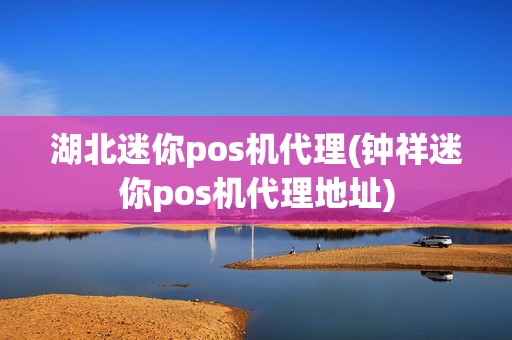 湖北迷你pos机代理(钟祥迷你pos机代理地址)
