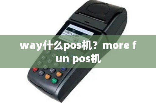 way什么pos机？more fun pos机