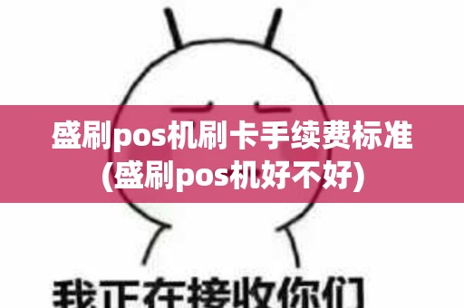 盛刷pos机刷卡手续费标准(盛刷pos机好不好)
