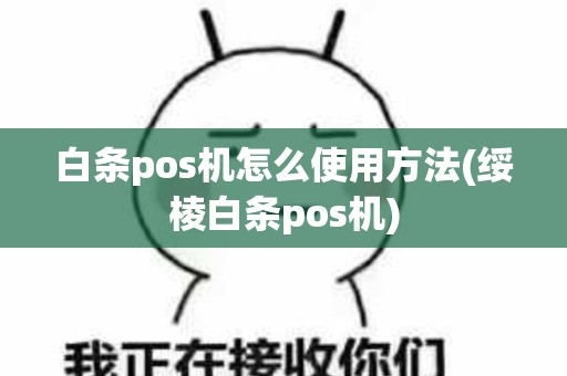 白条pos机怎么使用方法(绥棱白条pos机)